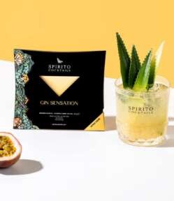 Gin Sensation - Spirito Cocktails