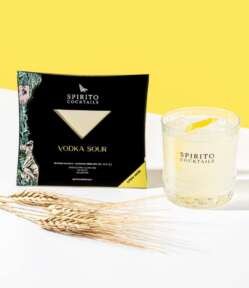 Vodka Sour - Spirito Cocktails