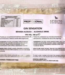 Gin Sensation - Spirito Cocktails